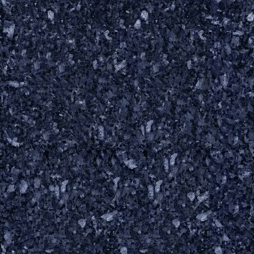 Labrador Bleu HQ