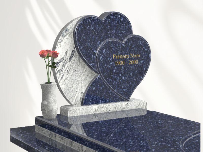 Symbiose double coeur moderne