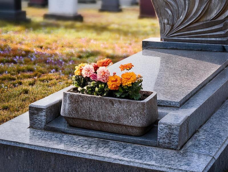les plantes nécessitant peu d’entretien pour une sépulture