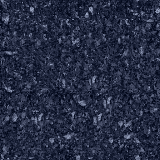 Labrador Bleu HQ